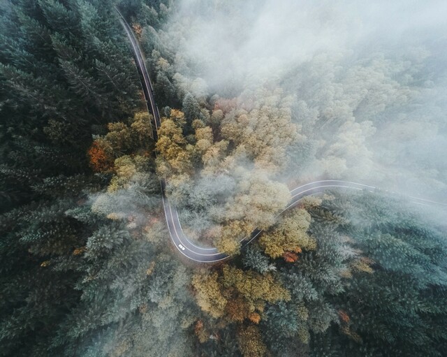 早安心语暖心话 适合发朋友圈的早安正能量简单一句话