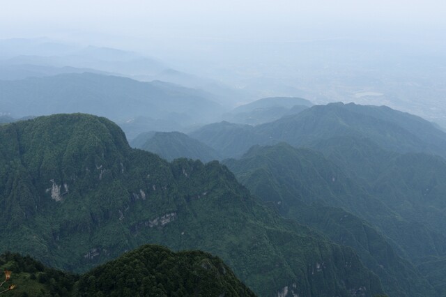 乐贝淘淘句子图片